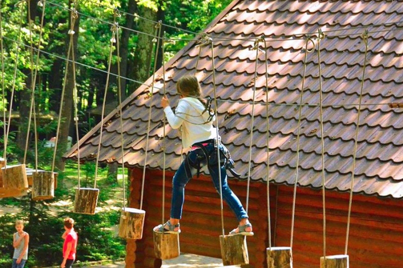FREESTYLE TRAVELER camp
